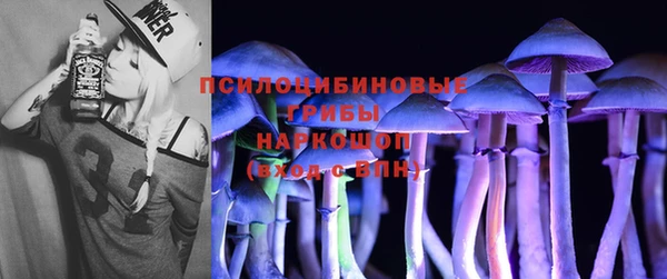 крисы Алексин