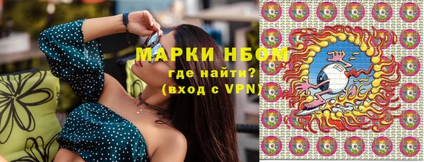 индика Алзамай