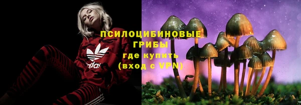 соль курить ск Алексеевка