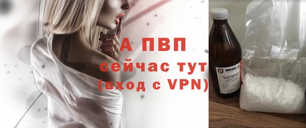 крисы Алексин