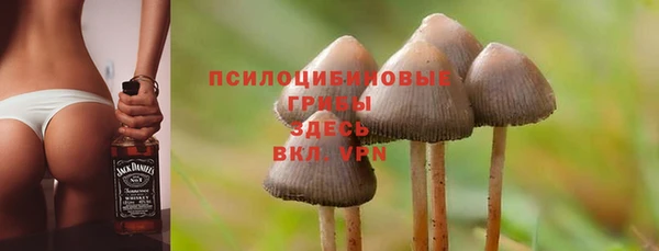 соль курить ск Алексеевка