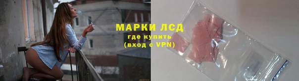 индика Алзамай