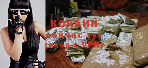 крисы Алексин