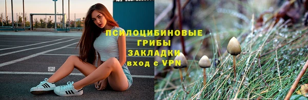 крисы Алексин