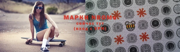 индика Алзамай