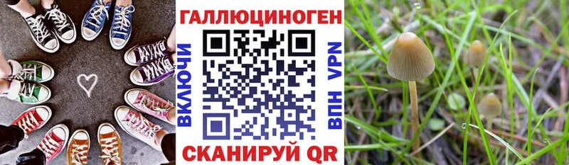 нарко площадка официальный сайт  Владивосток  Псилоцибиновые грибы MAGIC MUSHROOMS 